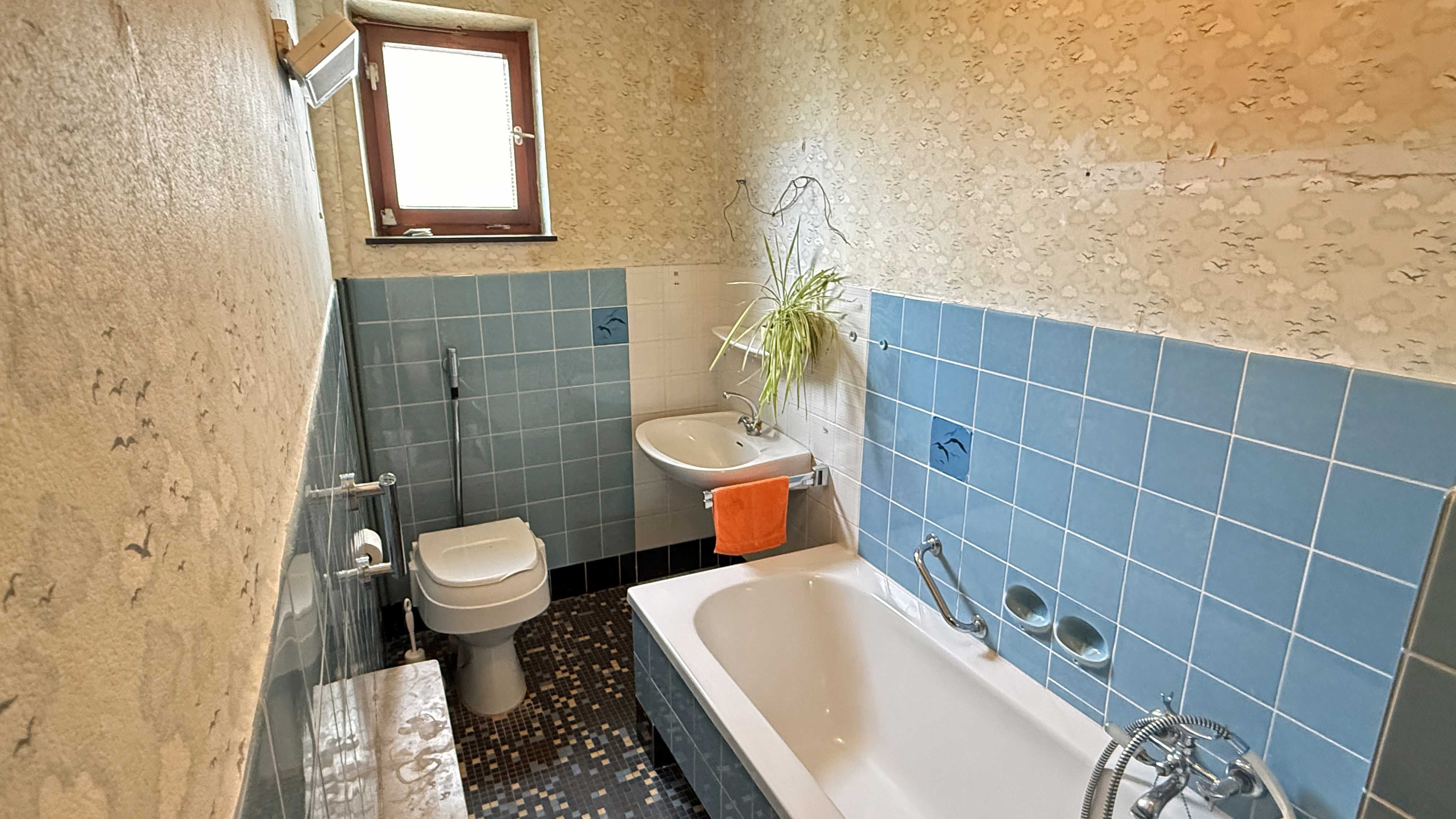 Wissen: EFH mit Dachterrasse, Garten und 2 Garagen, ...und Bad/ WC im EG  (4,4 m²)